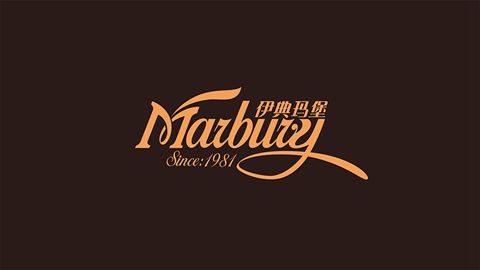 灯具营销策划